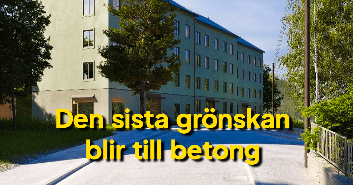 Detaljplanen syftar till ny bebyggelse längs med Sågverksgatans södra sida i form av 70 bostäder samt breddad gångbana. Den nya bebyggelsen innebär att befintlig naturmark tas i anspråk.